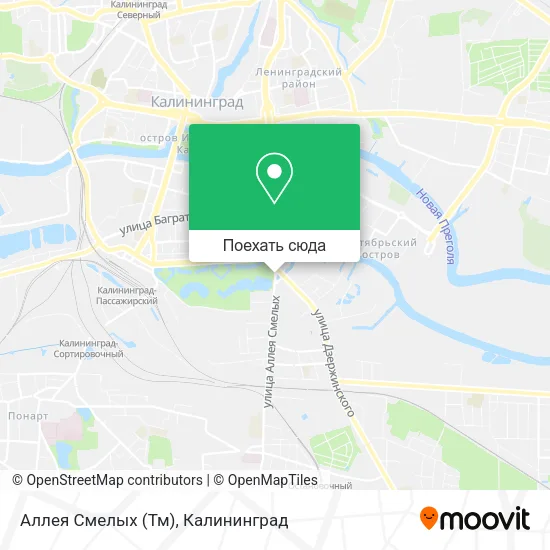 Карта Аллея Смелых (Тм)