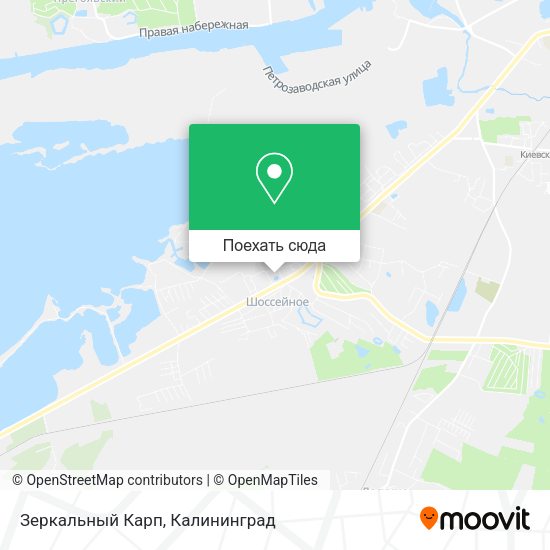 Карта Зеркальный Карп
