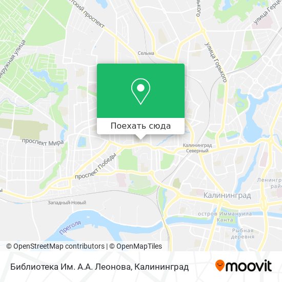 Карта Библиотека Им. А.А. Леонова
