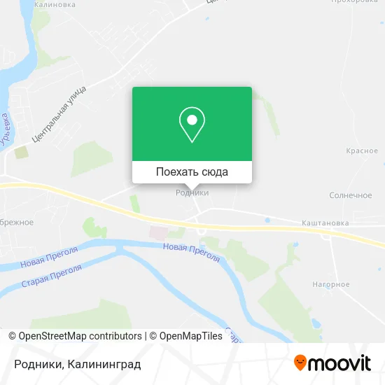 Карта Родники