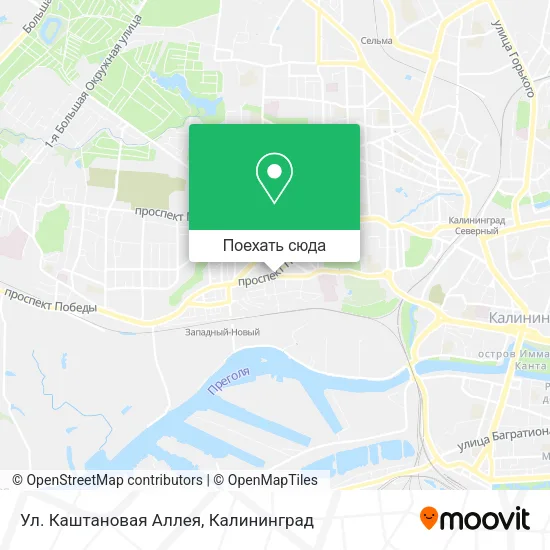 Карта Ул. Каштановая Аллея