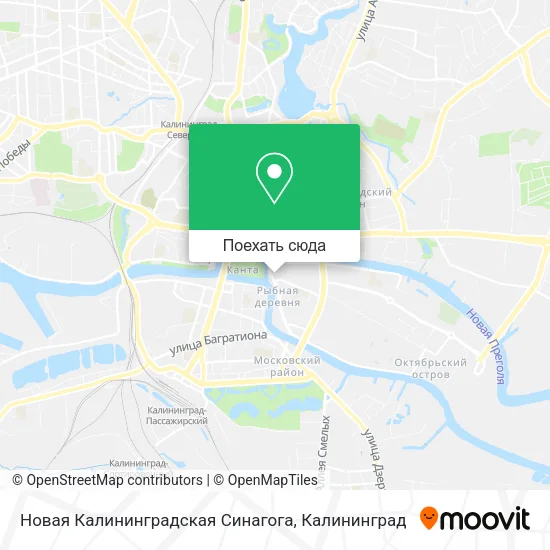 Карта Новая Калининградская Синагога