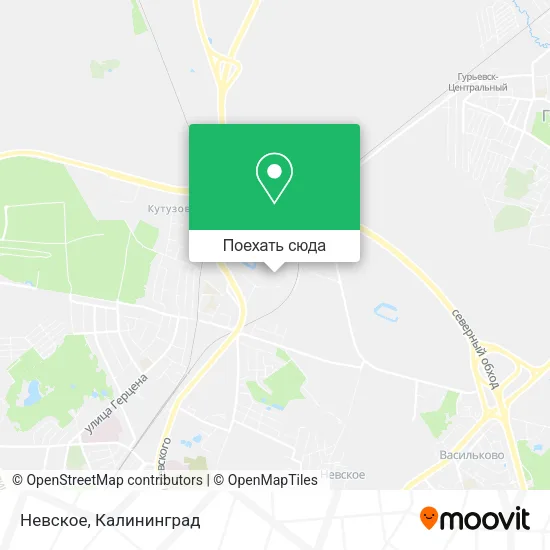 Карта Невское
