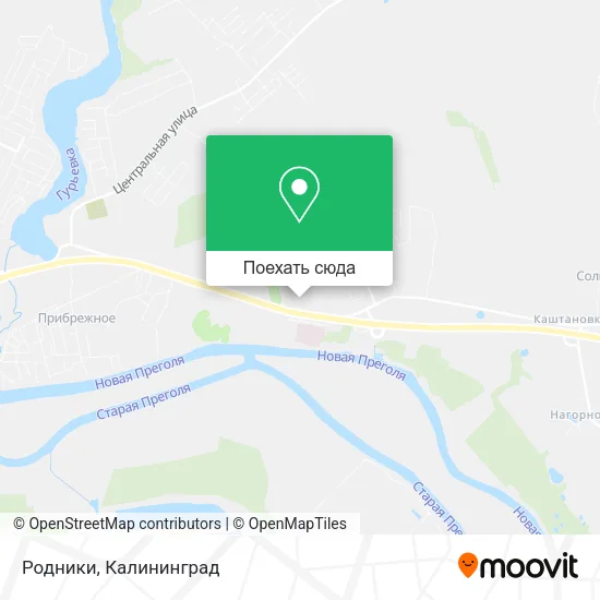 Карта Родники