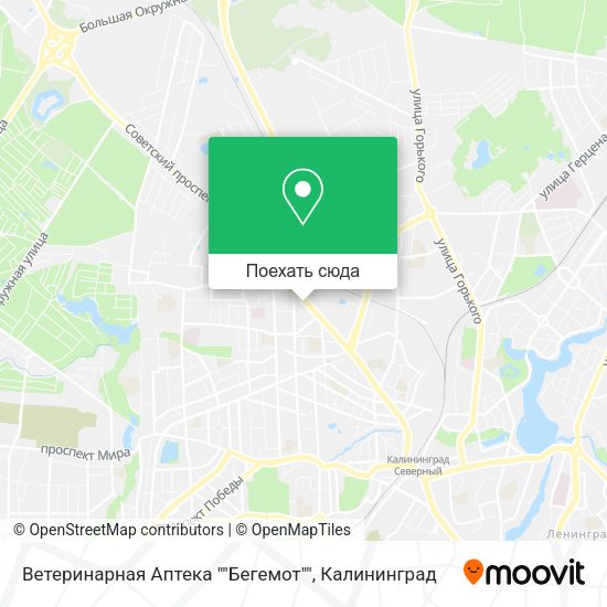 Карта Ветеринарная Аптека ""Бегемот""