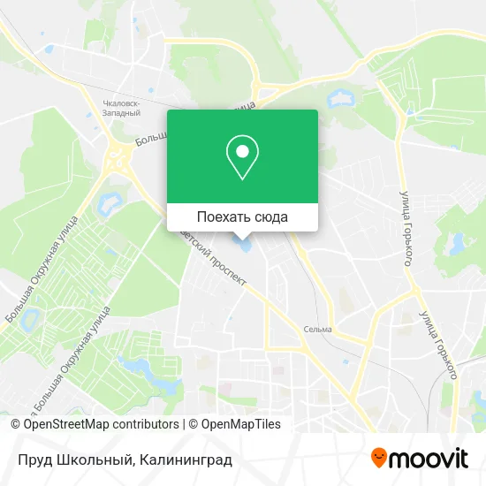 Карта Пруд Школьный