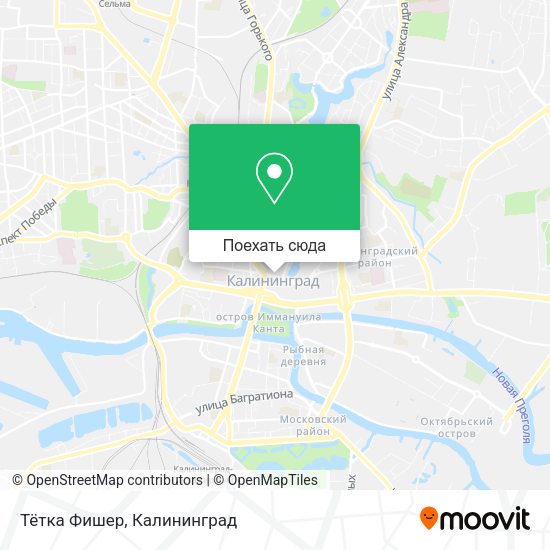 Карта Тётка Фишер