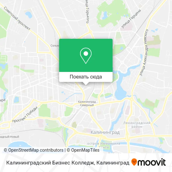 Карта Калининградский Бизнес Колледж