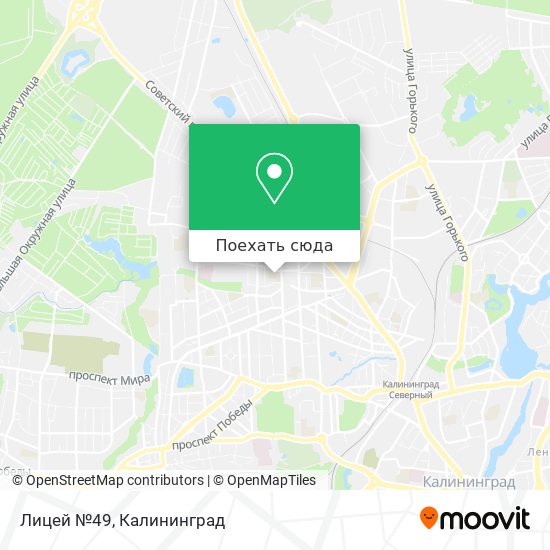 Карта Лицей №49