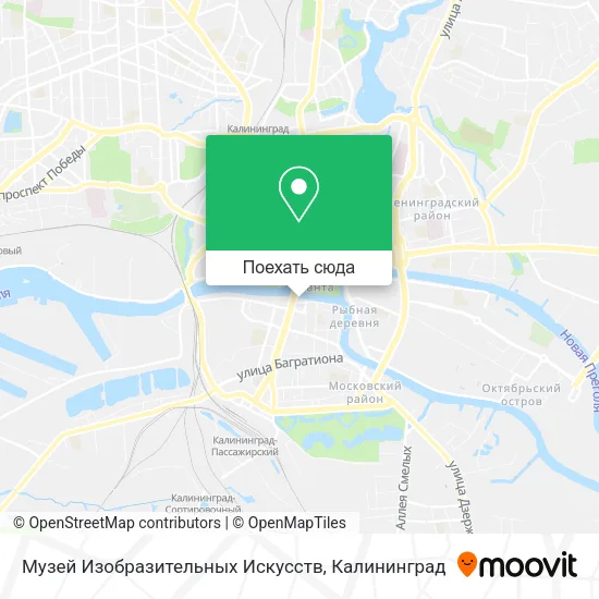 Карта Музей Изобразительных Искусств