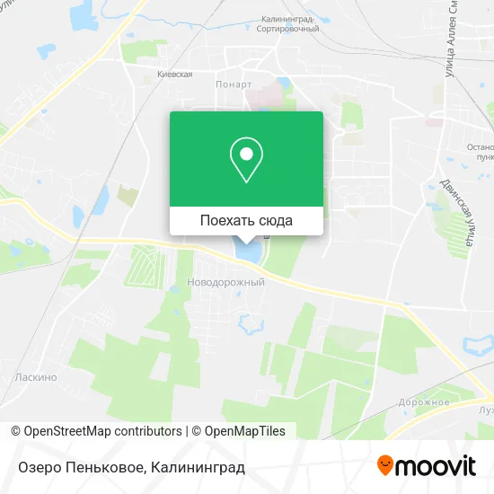 Карта Озеро Пеньковое