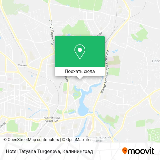 Карта Hotel Tatyana Turgeneva