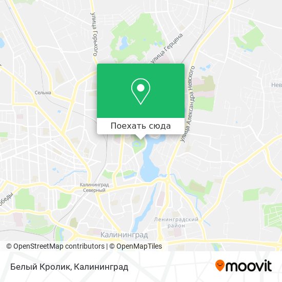 Карта Белый Кролик