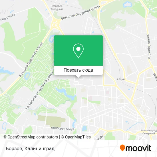 Карта Борзов