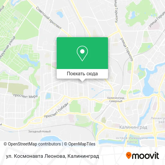 Карта ул. Космонавта Леонова