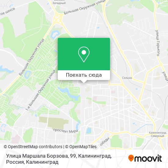 Карта Улица Маршала Борзова, 99, Калининград, Россия