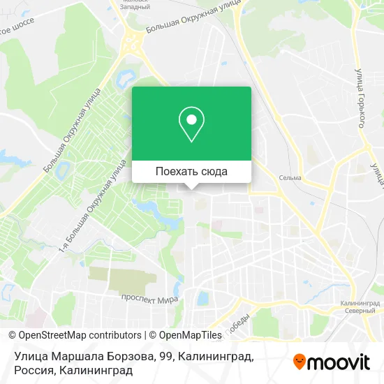 Карта Улица Маршала Борзова, 99, Калининград, Россия