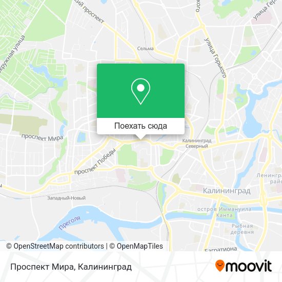 Карта Проспект Мира