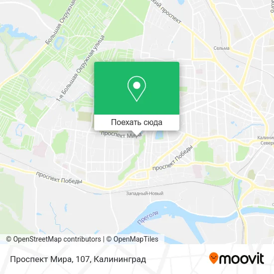 Карта Проспект Мира, 107