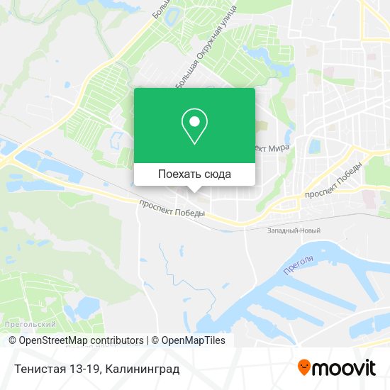 Карта Тенистая 13-19