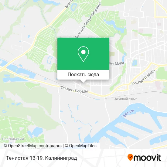 Карта Тенистая 13-19