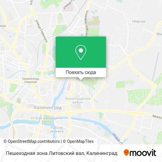 Карта Пешеходная зона Литовский вал