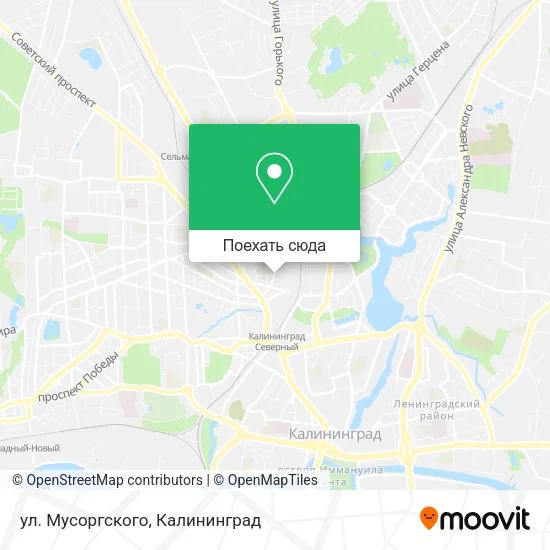 Карта ул. Мусоргского