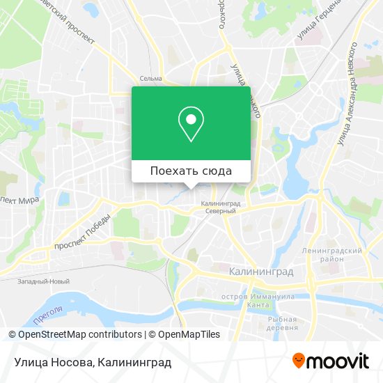 Карта Улица Носова