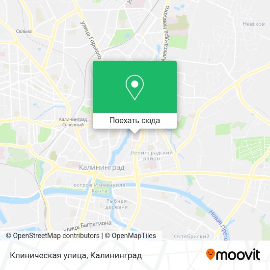 Карта Клиническая улица