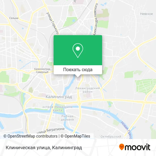 Карта Клиническая улица