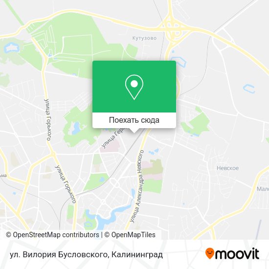 Карта ул. Вилория Бусловского