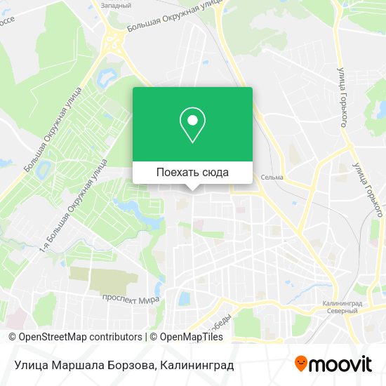Карта Улица Маршала Борзова