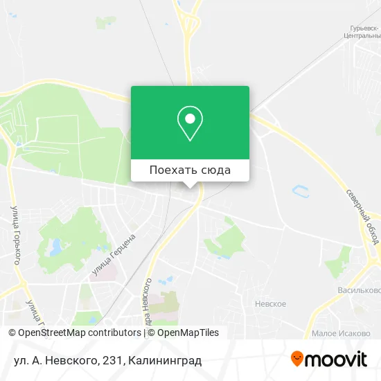 Карта ул. А. Невского, 231