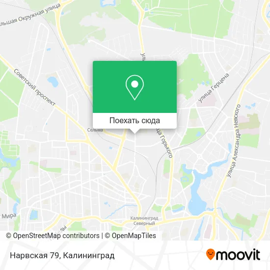 Карта Нарвская 79