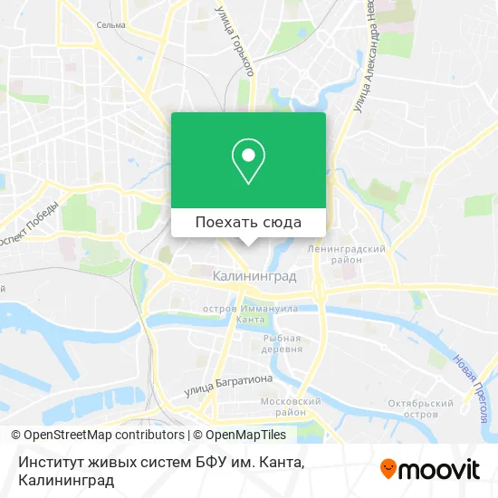 Карта Институт живых систем БФУ им. Канта