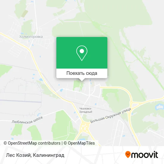 Карта Лес Козий
