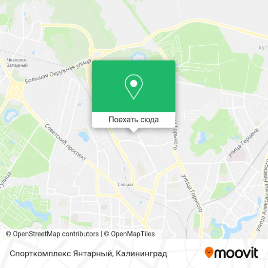 Карта Спорткомплекс Янтарный