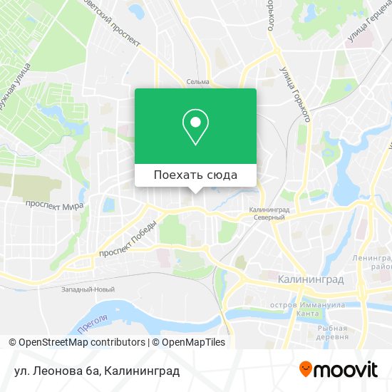 Карта ул. Леонова 6а