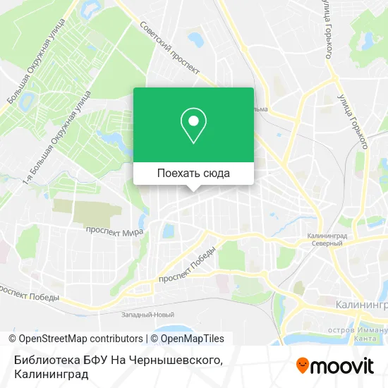 Карта Библиотека БФУ На Чернышевского
