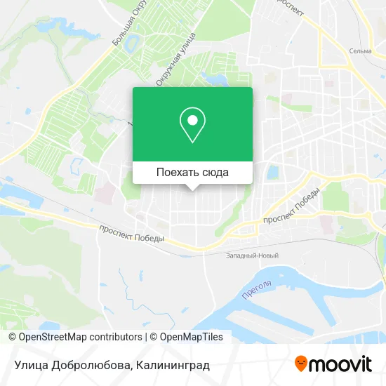 Карта Улица Добролюбова