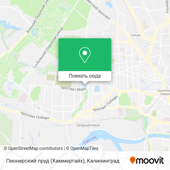 Карта Пионерский пруд (Хаммертайх)