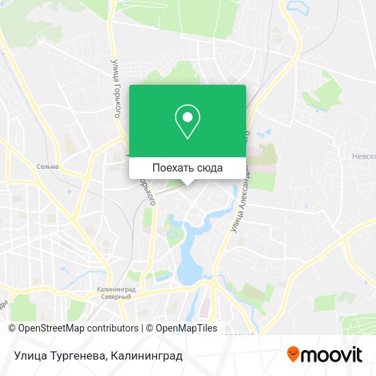 Карта Улица Тургенева