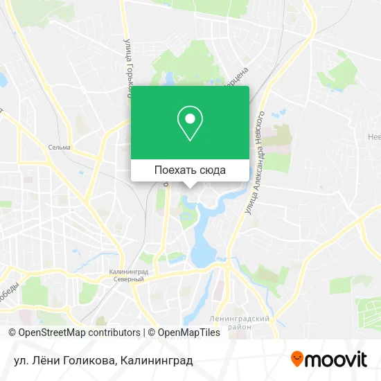 Карта ул. Лёни Голикова