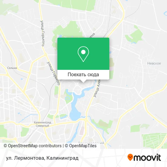 Карта ул. Лермонтова