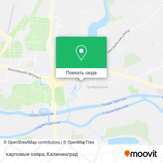 Карта карповые озёра