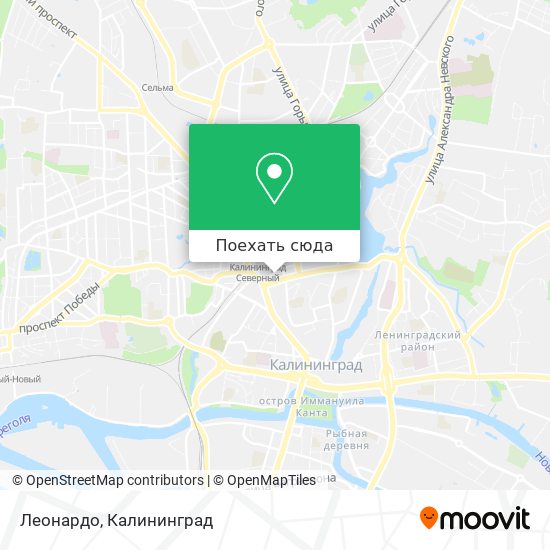 Карта Леонардо