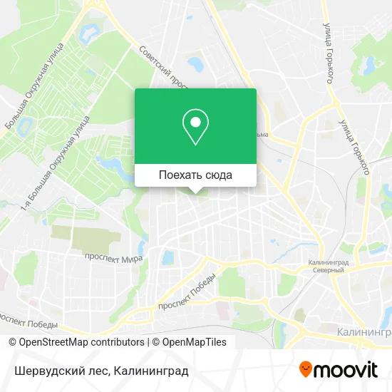 Карта Шервудский лес