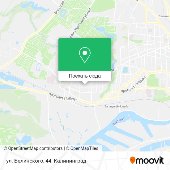 Карта ул. Белинского, 44