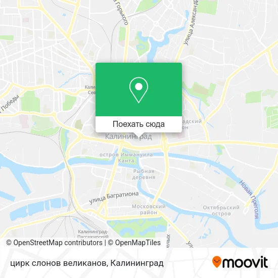 Карта цирк слонов великанов