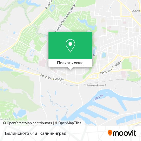 Карта Белинского 61а